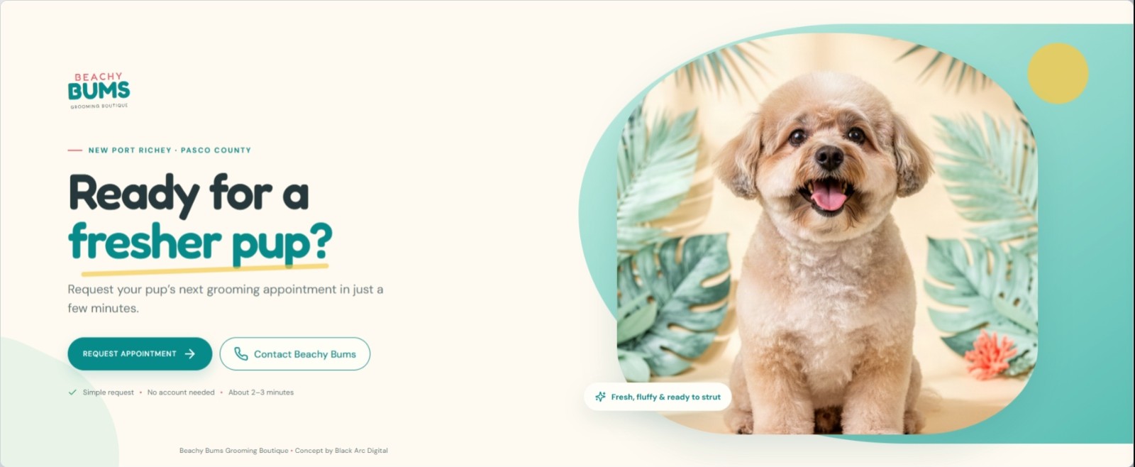 BEACHY BUMS APPOINTMENT REQUEST concept demo interface
