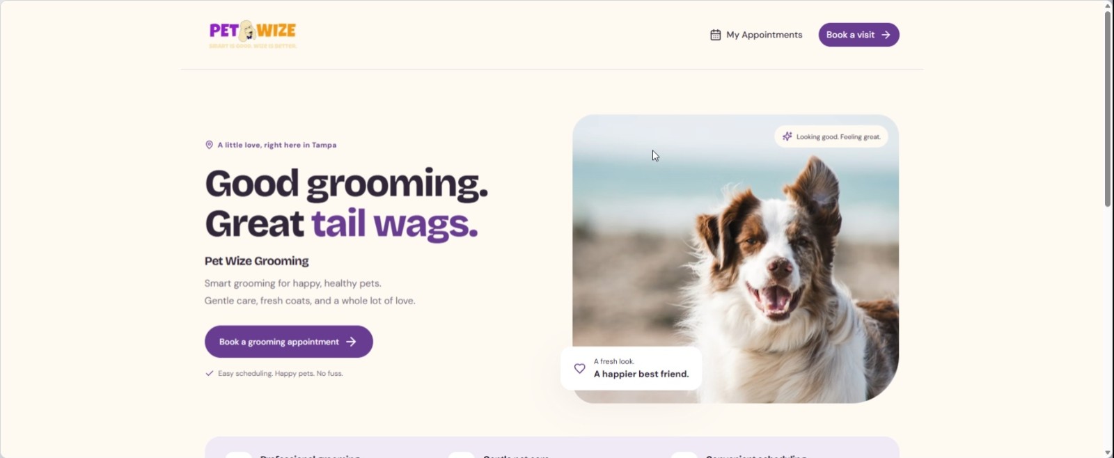 PET WIZE GROOMING concept demo interface